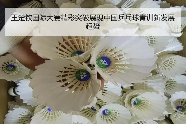 王楚钦国际大赛精彩突破展现中国乒乓球青训新发展趋势 | 365 Sports